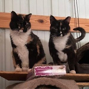 Meet your Posher, Louise